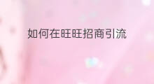 如何在旺旺招商引流 跨境电商如何招商引流客户