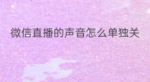 微信直播的声音怎么单独关 微信直播怎么关观众的声音