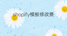 shopify模板修改费用 shopify主题模板费用