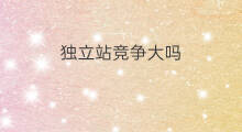 独立站竞争大吗 独立站竞争激烈吗