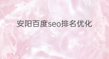 安阳百度seo排名优化 安阳百度排名优化方式