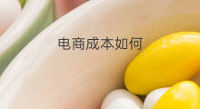 电商成本如何 跨境电商如何保证成本