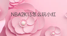 NBA2K13怎么玩小红书 模拟饭店2怎么玩小红书