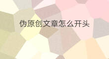 伪原创文章怎么开头 伪原创文章怎么设置