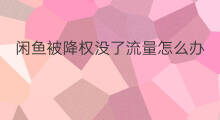 闲鱼被降权没了流量怎么办 被闲鱼平台限流降权怎么办