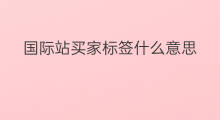 国际站买家标签什么意思 国际站小B买家是什么