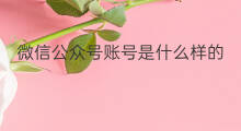 微信公众号账号是什么样的 微信开直播系统是什么样的