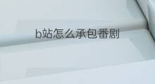 b站怎么承包番剧 b站怎么下载番剧