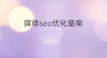 媒体seo优化备案 seo优化自媒体