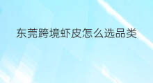 东莞跨境虾皮怎么选品类 虾皮跨境电商如何选品类