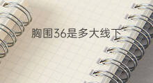 胸围36是多大线下 韩国多大线下