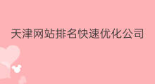 天津网站排名快速优化公司 天津网站排名快速优化
