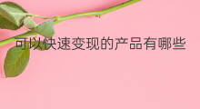 可以快速变现的产品有哪些 可以快速变现的产品