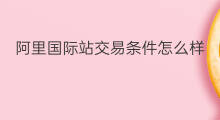阿里国际站交易条件怎么样 阿里国内站国际站怎么样