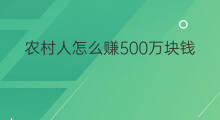 农村人怎么赚500万块钱 如何在农村赚3万块钱的钱