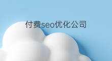付费seo优化公司 付费优化推广公司