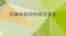 自媒体如何伪原创发文 自媒体如何伪原创