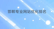 邯郸专业网站优化排名 邯郸网站搜索优化排名报价