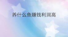 养什么鱼赚钱利润高 养什么赚钱利润高
