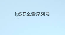 ip5怎么查序列号 ip序列号怎么查