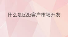 什么是b2b客户市场开发 b2b怎么开发客户产品
