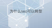 为什么seo可以转型 为什么转型跨境电商