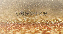 小额投资什么好 小额投资做什么好