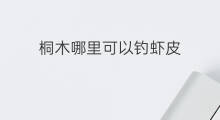 桐木哪里可以钓虾皮 永州哪里可以钓虾皮