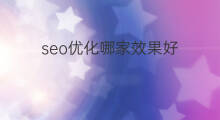 seo优化哪家效果好 舟山seo哪家效果好