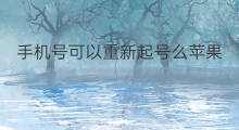 手机号可以重新起号么苹果 手机号可以重新起号么吗