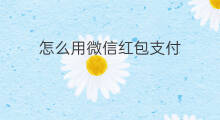 怎么用微信红包支付 微信红包怎么用指纹支付