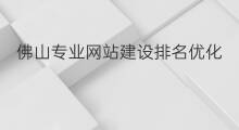 佛山专业网站建设排名优化 佛山网站排名优化