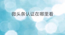 微头条认证在哪里看 微头条领域在哪里认证