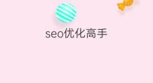seo优化高手 株洲seo优化高手