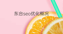 东台seo优化概况 东台seo优化方法