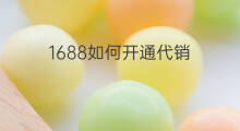 1688如何开通代销 1688如何代销