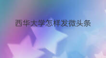 西华大学怎样发微头条 西华大学微头条怎么报名
