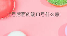 ip号后面的端口号什么意思 ip号和端口号是什么意思
