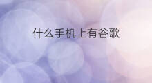 什么手机上有谷歌 我手机上有快手吗