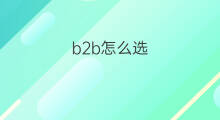 b2b怎么选 b2b建站选哪家