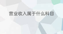 营业收入属于什么科目 收入属于什么科目