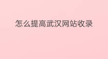 怎么提高武汉网站收录 武汉网站推广排名费用