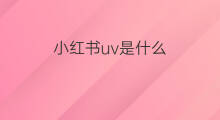 小红书uv是什么 小红书是什么书搞笑