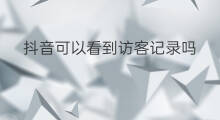 抖音可以看到访客记录吗 抖音日记可以看到访客