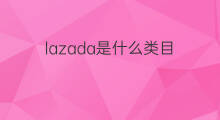 lazada是什么类目 lazada口罩是什么类目