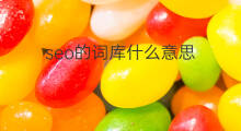 seo的词库什么意思 shopify的seo是什么意思