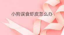 小狗误食虾皮怎么办 小狗怎么吃虾皮粉