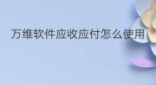 万维软件应收应付怎么使用 用友软件怎么调取应收应付
