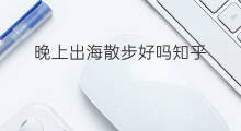 晚上出海散步好吗知乎 晚上出海捞飞鱼好吗