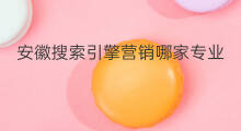 安徽搜索引擎营销哪家专业 安徽搜索引擎营销怎么样